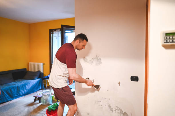Beecher, IL Mold Remediation Company